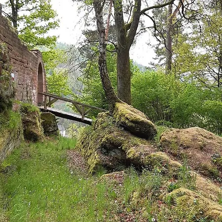 Jule * Thaleischweiler-Froschen