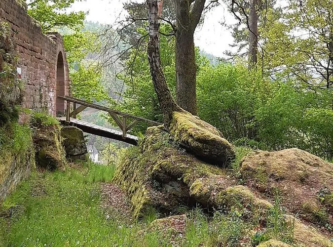 Jule * Thaleischweiler-Froschen